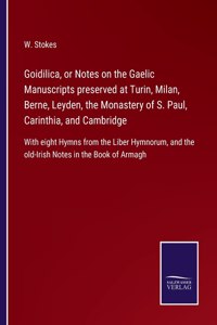 Goidilica, or Notes on the Gaelic Manuscripts preserved at Turin, Milan, Berne, Leyden, the Monastery of S. Paul, Carinthia, and Cambridge