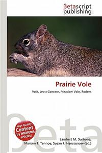 Prairie Vole