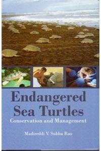 Endangered Sea Turtles