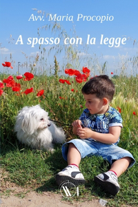 A spasso con la legge