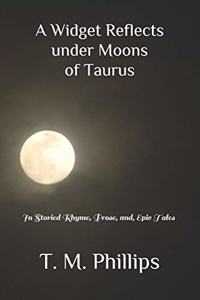A Widget Reflects under Moons of Taurus