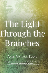 Light Through the Branches