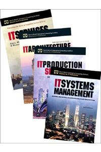 IT Professional Bundle