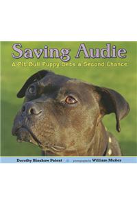 Saving Audie
