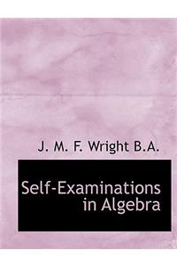 Self-Examinations in Algebra