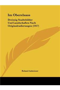 Im Oberelsass: Dreissig Stadtebilder Und Landschaften Nach Originalradierungen (1917)