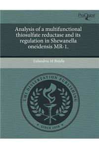 Analysis of a Multifunctional Thiosulfate Reductase and Its Regulation in Shewanella Oneidensis MR-1