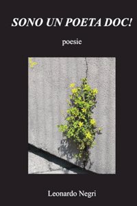 Sono un poeta DOC!