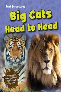 Big Cats Head to Head