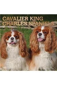 Cavalier King Charles Spaniels 2019 Square Foil