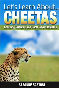 Cheetahs