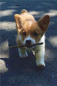 Pembroke Welsh Corgi Puppy Dog Journal