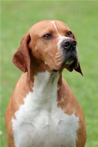 Pointer