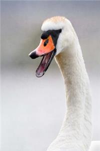 The Laughing Swan Bird Journal
