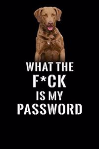 What The F*CK Is My Password