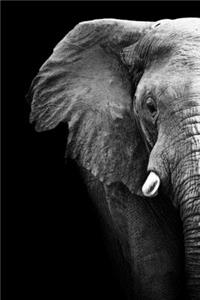 Save The Elephant 2020 Weekly Monthly Planner