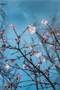 Flowering Branches Journal