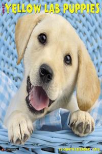 Just Yellow Lab Puppies 2018 Wall Calendar (Dog Breed Calendar)