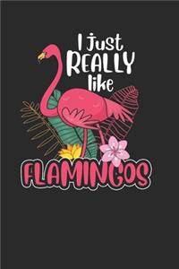 I Just Really Like Flamingos