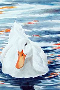 White Duck