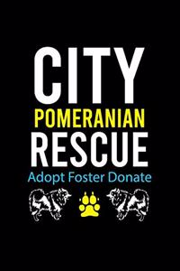 City Pomeranian Rescue Adopt Foster Donate