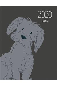 2020 Maltese