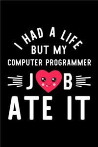 I Had A Life But My Computer Programmer Job Ate It
