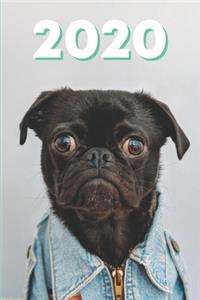 2020 Hunde Kalender