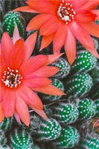 Cactus Notebook