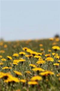 Dandelion Notebook