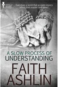 Slow Process of Understanding