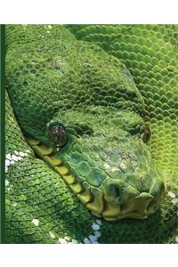Green Snake Notebook