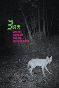 3am: Wonder, Paranoia and the Restless Night