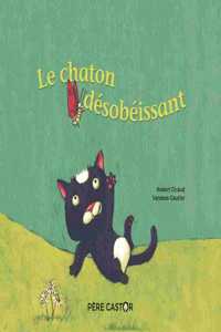 Le chaton desobeissant