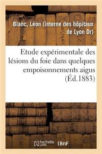 Contribution À l'Étude Expérimentale Des Lésions Du Foie Dans Quelques Empoisonnements Aigus