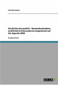Die EU-Strukturpolitik - Bestandsaufnahme und Kritik mit besonderem Augenmerk auf die Agenda 2000