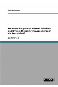 EU-Strukturpolitik - Bestandsaufnahme und Kritik mit besonderem Augenmerk auf die Agenda 2000