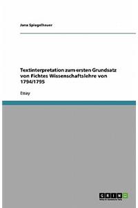 Textinterpretation zum ersten Grundsatz von Fichtes Wissenschaftslehre von 1794/1795