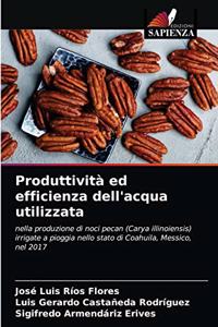 Produttività ed efficienza dell'acqua utilizzata