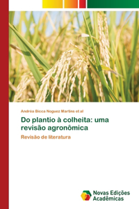 Do plantio à colheita