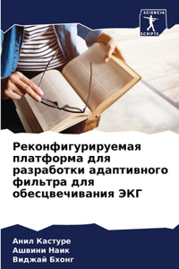 Реконфигурируемая платформа для разраб