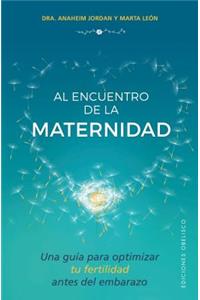 Al Encuentro de la Maternidad