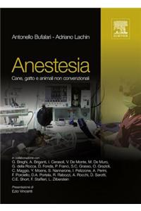 Anestesia