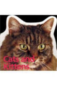 Cats & Kittens :128pg Pets Series