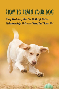 How To Train Your Dog