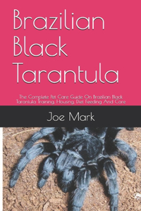 Brazilian Black Tarantula