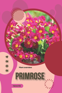 Primrose