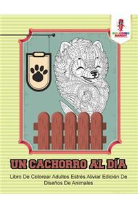 Cachorro Al Día