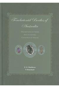 Tenebrionid Beetles of Australia