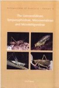 The Tettigonidae of Australia